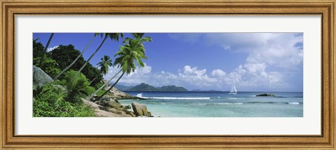 Framed Palm trees on the beach, Anse Severe, La Digue Island, Praslin Island, Seychelles Print