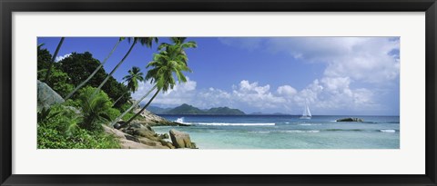 Framed Palm trees on the beach, Anse Severe, La Digue Island, Praslin Island, Seychelles Print