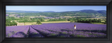 Framed Woman in a field of lavender near Villars in Provence, France Print