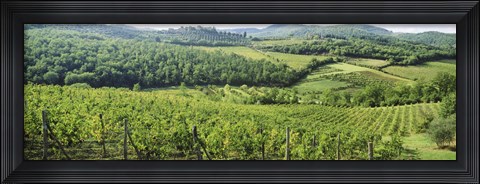 Framed Vineyards in Chianti Region, Tuscany, Italy Print