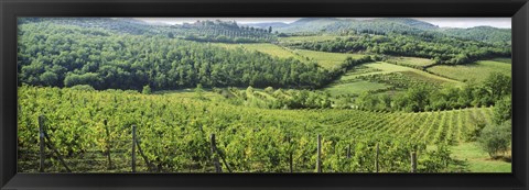 Framed Vineyards in Chianti Region, Tuscany, Italy Print