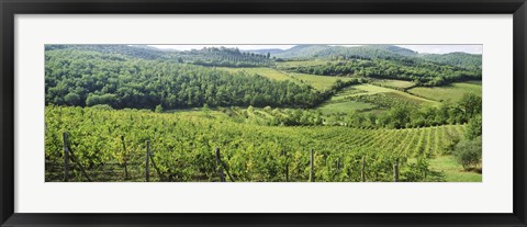 Framed Vineyards in Chianti Region, Tuscany, Italy Print