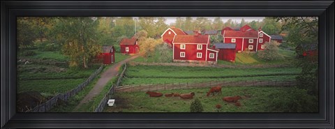 Framed Traditional red farm houses and barns at village, Stensjoby, Smaland, Sweden Print