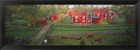 Framed Traditional red farm houses and barns at village, Stensjoby, Smaland, Sweden Print