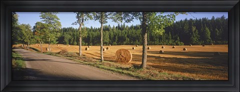 Framed Hay bales in a field, Flens, Sweden Print