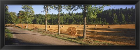 Framed Hay bales in a field, Flens, Sweden Print