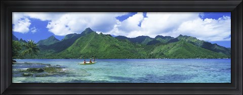 Framed Polynesian people rowing a yellow outrigger boat in the bay, Opunohu Bay, Moorea, Tahiti, French Polynesia Print