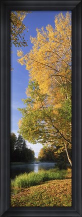 Framed River flowing through a forest, Dal River, Sweden Print