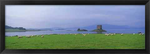 Framed Castle on an island, Glencoe, Loch Linnh, Stalker Castle, Scotland Print