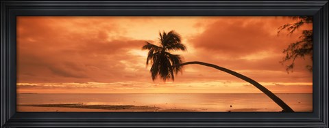 Framed Silhouette of an old palm tree on the beach at sunset, Aitutaki, Cook Islands Print