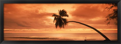 Framed Silhouette of an old palm tree on the beach at sunset, Aitutaki, Cook Islands Print