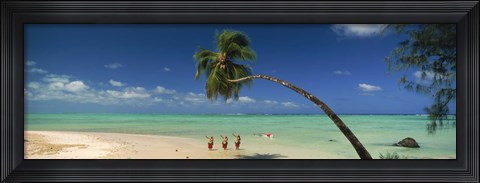 Framed Palm tree extended over the beach, Aitutaki, Cook Islands Print