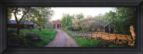 Framed Dirt road leading to farmhouses, Stensjoby, Smaland, Sweden Print
