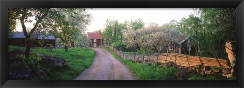 Framed Dirt road leading to farmhouses, Stensjoby, Smaland, Sweden Print