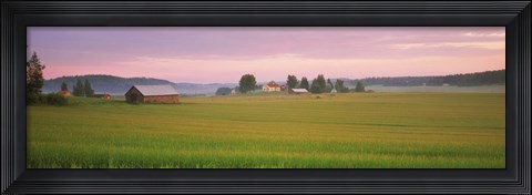 Framed Barn and wheat field across farmlands at dawn, Finland Print