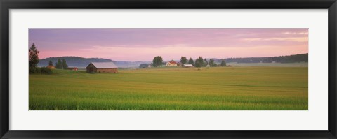 Framed Barn and wheat field across farmlands at dawn, Finland Print