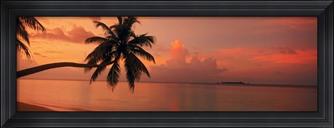 Framed Silhouette of palm tree on the beach at sunrise, Fihalhohi Island, Maldives Print