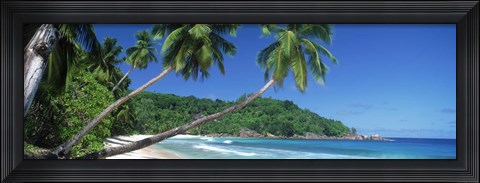 Framed Palm trees on the beach, Anse Severe, La Digue Island, Seychelles Print