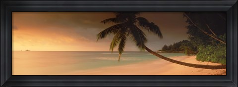 Framed Silhouette of a palm tree on the beach at sunset, Anse Severe, La Digue Island, Seychelles Print