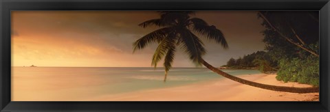 Framed Silhouette of a palm tree on the beach at sunset, Anse Severe, La Digue Island, Seychelles Print