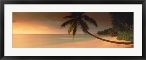 Framed Silhouette of a palm tree on the beach at sunset, Anse Severe, La Digue Island, Seychelles Print