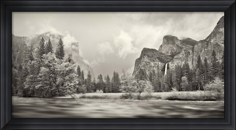 Framed River flowing through a forest, Merced River, Yosemite Valley, Yosemite National Park, California, USA Print