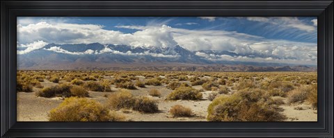 Framed Death Valley landscape, Panamint Range, Death Valley National Park, Inyo County, California, USA Print