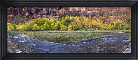 Framed Virgin River at Big Bend, Zion National Park, Springdale, Utah, USA Print