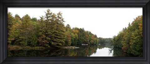 Framed Reflection of trees in the Musquash River, Muskoka, Ontario, Canada Print