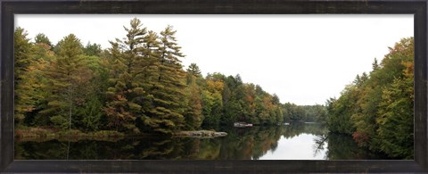 Framed Reflection of trees in the Musquash River, Muskoka, Ontario, Canada Print