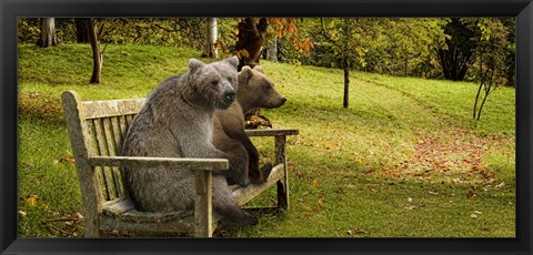 Framed Bears sitting on a bench Print