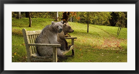 Framed Bears sitting on a bench Print