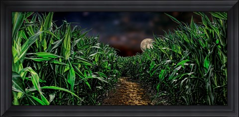 Framed Dark corn field Print