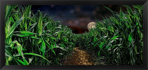 Framed Dark corn field Print