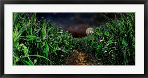 Framed Dark corn field Print