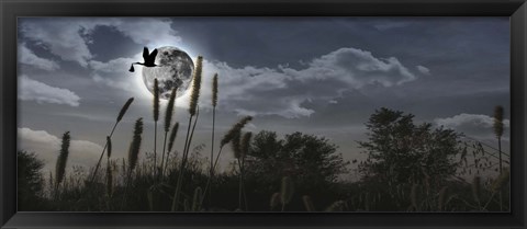 Framed Stork flying with baby in beak over moon Print