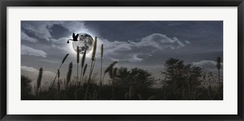 Framed Stork flying with baby in beak over moon Print