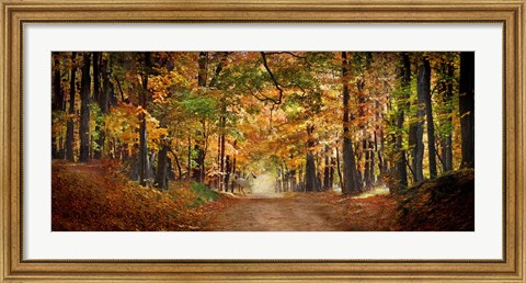 Framed Horse running across road in fall colors Print