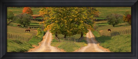 Framed Two dirt roads passing through farms in autumn Print