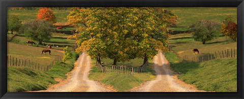 Framed Two dirt roads passing through farms in autumn Print