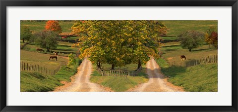 Framed Two dirt roads passing through farms in autumn Print