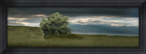 Framed Tree swaying in storm Print