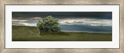 Framed Tree swaying in storm Print