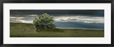 Framed Tree swaying in storm Print