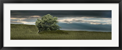 Framed Tree swaying in storm Print