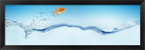 Framed Goldfish jumping out of water Print