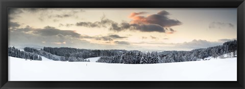 Framed Trees on a snow covered hill, Black Forest, Baden-Wurttemberg, Germany Print