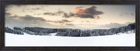 Framed Trees on a snow covered hill, Black Forest, Baden-Wurttemberg, Germany Print