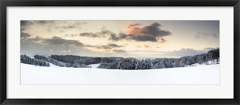 Framed Trees on a snow covered hill, Black Forest, Baden-Wurttemberg, Germany Print