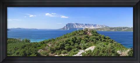 Framed Trees on a hill, Capo Coda Cavallo, Baronia, Sardinia, Italy Print